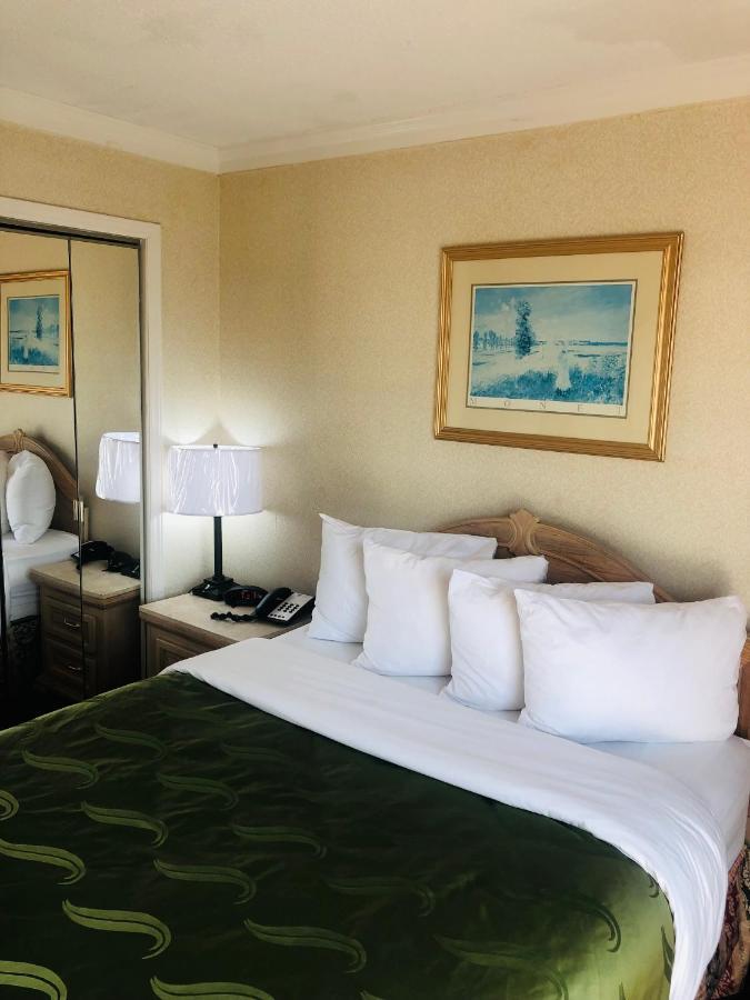 Quail Inn And Suites - Миртъл Бийч Екстериор снимка